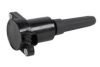 JAGUA 4443006 Ignition Coil